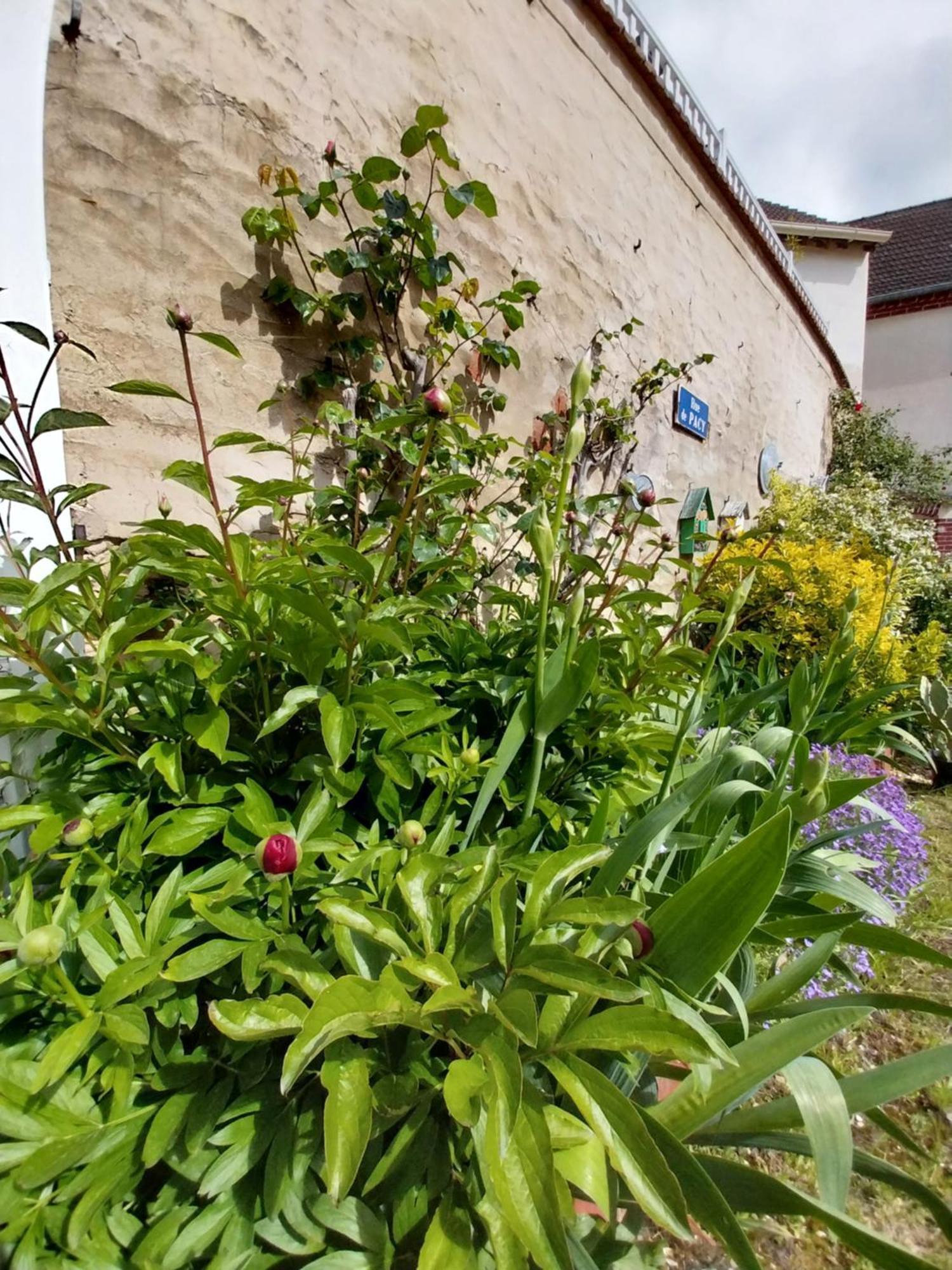La Petite Maison Gasny Buitenkant foto